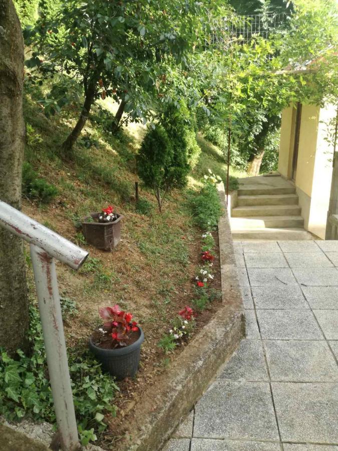 Fiar Daire Saraybosna Dış mekan fotoğraf