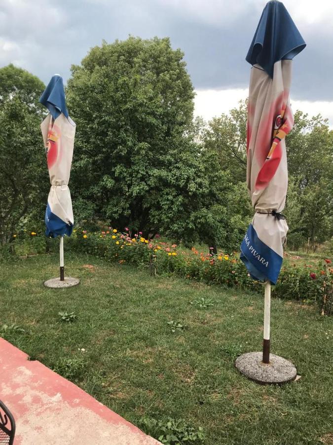 Fiar Daire Saraybosna Dış mekan fotoğraf