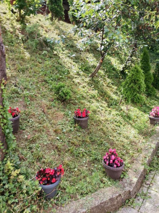 Fiar Daire Saraybosna Dış mekan fotoğraf