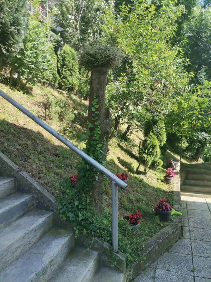 Fiar Daire Saraybosna Dış mekan fotoğraf